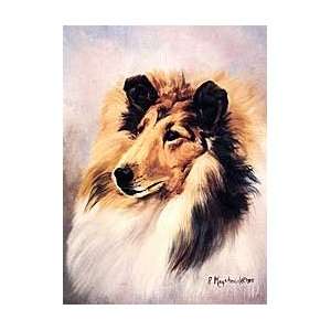 Rough Collie Matted Print