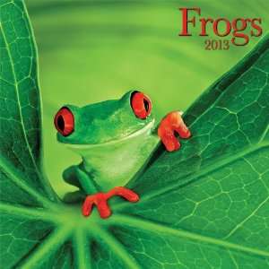  Frogs 2013 Wall Calendar 12 X 12