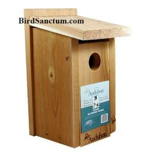  Wooden Cedar Blue Bird House: Home & Kitchen