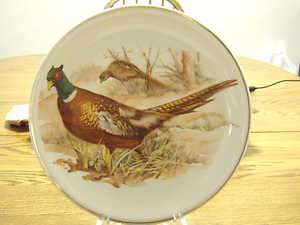   PORTRAIT PICTURE PHEASANT GAME BIRD CABINET WALL PLATE 10  