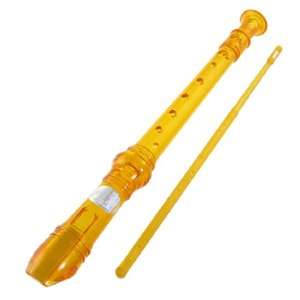   Plastic 8 Holes Soprano Recorder Flute Clear Orange Toys & Games
