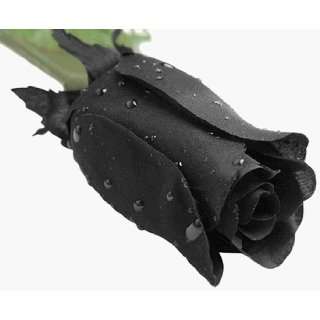  Fake Black Rose Halloween Decoration with Rain Drops: Home 