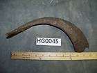 Goat Horn use to make mask or excotic decor HG0045
