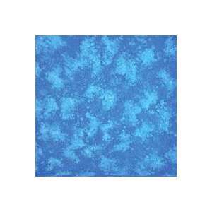 Drape Special Effex Series, 10 x 12 Painted Muslin Background, Style 