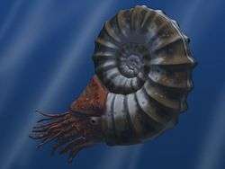 Iridescent Fossilized Ammonite “Snakestone” Gem Pendant  