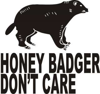   BADGER DONT CARE Animal Web Video Hit Crazy Funny T Shirt  
