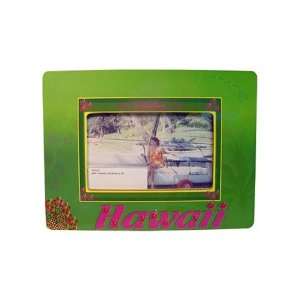  Hawaii frame, 4 x 6   Case of 36