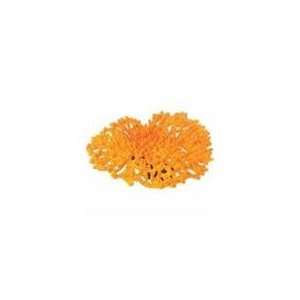    Design Elements Tabletop Acropora Coral Ornament: Pet Supplies