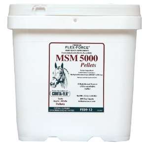   Flex Force MSM 5000 Pellets   12 lb (192 384 days): Sports & Outdoors
