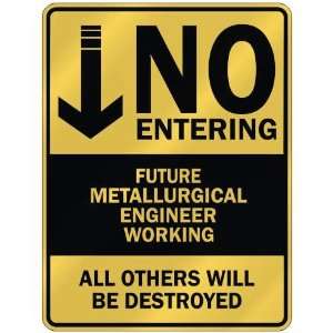   NO ENTERING FUTURE METALLURGICAL ENGINEER WORKING 