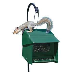  Super Stop A Squirrel Bird Feeder: Patio, Lawn & Garden