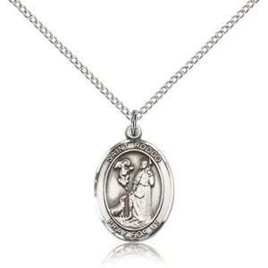    Silver St. Saint Rocco Contagious Diseases Medal Necklace Jewelry
