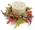 Pack Of 12 Fall Artificial Mixed Leaf And Berry Candle Rings 12