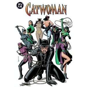  Catwoman Nine Lives of a Feline Fatale [Paperback] Ed Brubaker