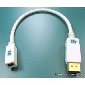  Mini Displayport Female to Displayport Male Adapter Cable 