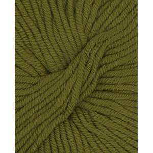    Tahki Torino Bulky Yarn 247 Grass Green Arts, Crafts & Sewing