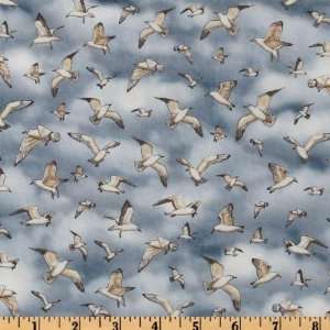  44 Wide Seaport View Seagulls Platinum Fabric By The 