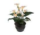 Bethlehem Lights Battery Op. Potted Calla Lily with Timer WHITE