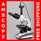 compound microscopes  