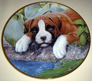 SIMON MENDEZ Boxer Puppies WATERS EDGE Pup Plate Cute!  