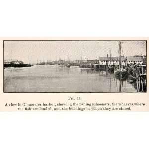  1908 Print Gloucester Harbor Fishing Schooners Whavres 