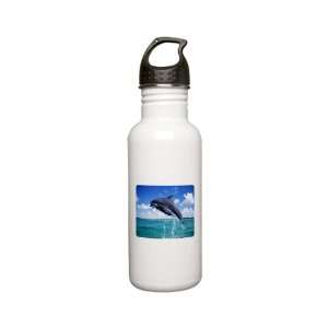    Stainless Water Bottle 0.6L Dolphins Singing 