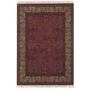   Bordeaux 85721872 Traditional 66 x 101 Area Rug