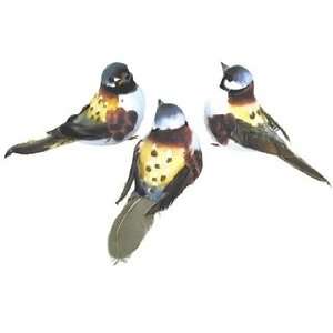   Bird Warbler 4 Feather White/Slate/Goldenrod/Dark Plum/Brown Home
