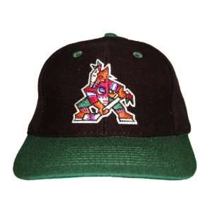    NHL Phoenix Coyotes Hockey Snapback Hat   2 Tone