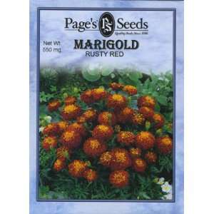  Marigold, Rusty Red Patio, Lawn & Garden