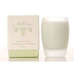   Ambiance Candle Orchard Collection Cypress 7.3 Oz.
