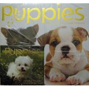   2012 Puppies Wall Calendar with Mini Planner