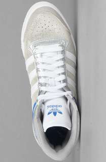 adidas The Top Ten Hi Sleek W Sneaker in Metallic Silver  Karmaloop 