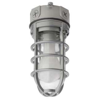 Incandescent Light Fixture from Lithonia Lighting   