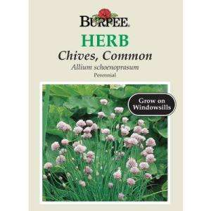 Burpee Common Chive Seed (56788) from  