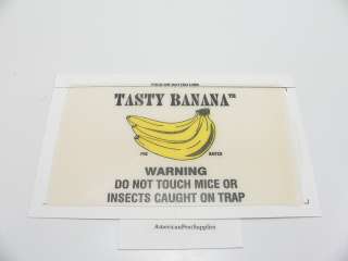 72 Catchmaster Tasty Banana Mouse Glue Traps   Made in USA !  