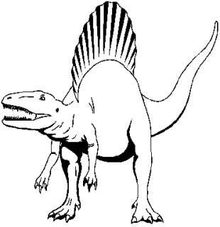   dent dinosaure Spinosaurus Aegypticus ( 4.9 cms   117)