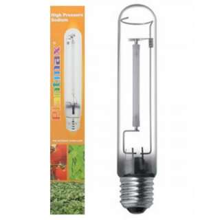Plantmax 600w HPS Lamp Grow Bulb High Pressure Sodium 600 watt 