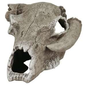  Steer Skull   Aquarium Ornament   Small (Quantity of 3 