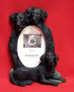 BLACK LAB Dog Picture Frame + Thermometer GREAT GIFT  