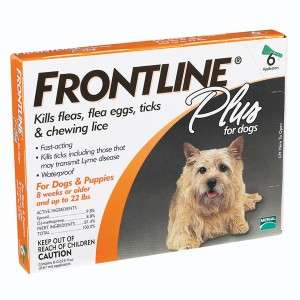 FRONTLINE PLUS Flea & Tick Control for Dogs 11 22 lbs 6  