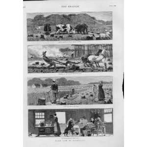  Farming Life Canada 1880 Antique Print *2