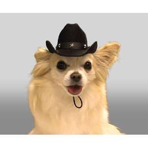  Cowboy Hats for Small Dogs   Black Color