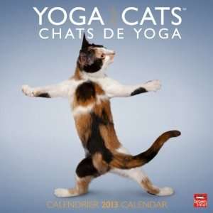  Yoga Cats/Chats de Yoga 2013 Wall Calendar 12 X 12 