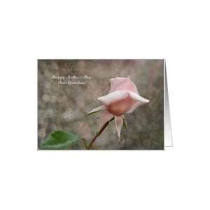  Mothers Day Grandma   Pink Rose Bud Card: Health 