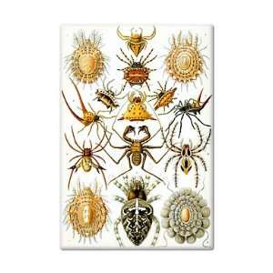 Ernst Haeckel Arachnida Arachnid Spider Fridge Magnet