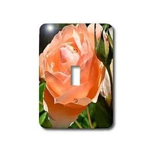 Patricia Sanders Flowers   Summer Peach Rose   Light Switch Covers 