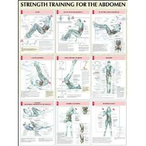  Human Kinetics Strength Training Anatomy Poster   Abdomen 