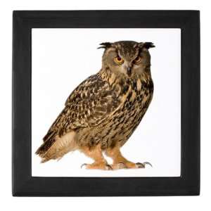 Keepsake Box Black Eurasian Eagle Owl