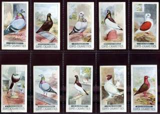 Tobacco Card Set, Cope, Racing PIGEON, Sport, Ring, Band, 1926  